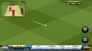 Real Cricket 19 For PC